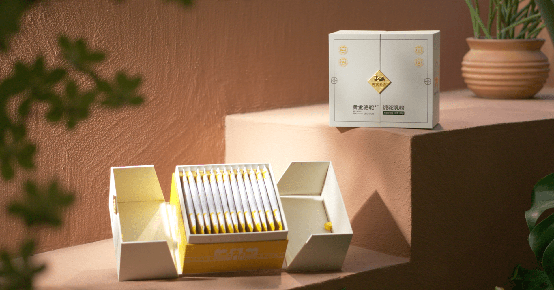 定位小众高端乳粉，AG贵宾会推出驼奶品牌“黄金骆驼+”，角逐乳品新市场！
